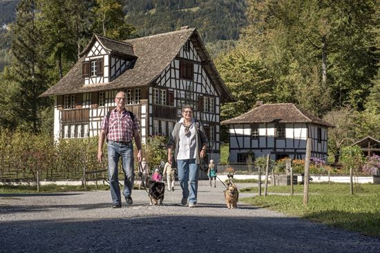 Bild von Gutschein 2-Tagespass Erwachsener