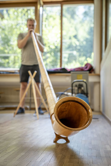 Picture of Instrumentenbauen - Alphorn