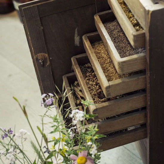 Picture of Führung Kräutergarten pauschal