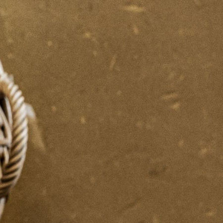 Picture for category Juni