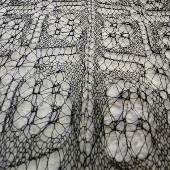 Immagine di Stricken - Shetland Lace Technik