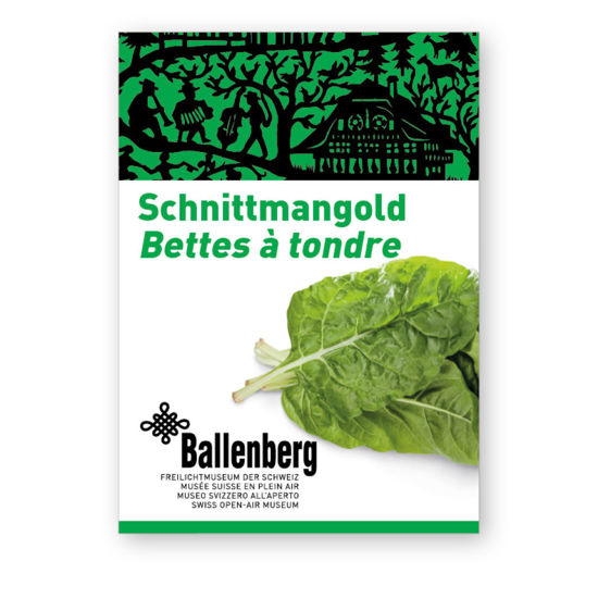 Bild von Schnittmangold  (Samen)