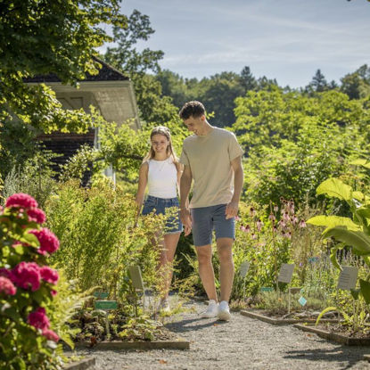 Picture of Führung Kräutergarten pauschal