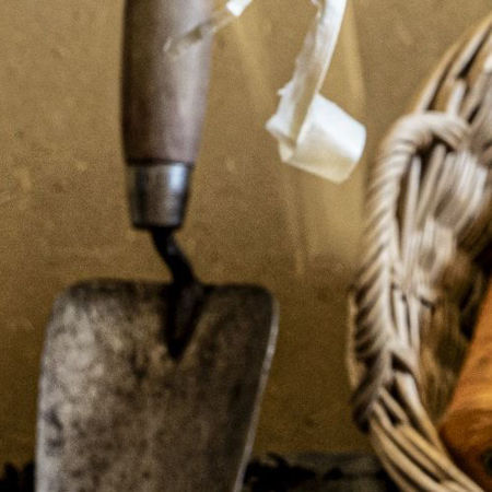 Picture for category März