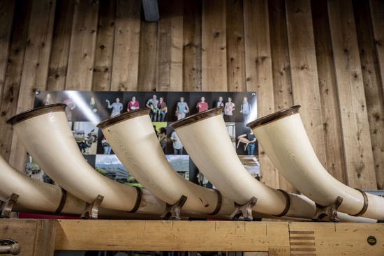 Picture of Instrumentenbauen - Alphorn