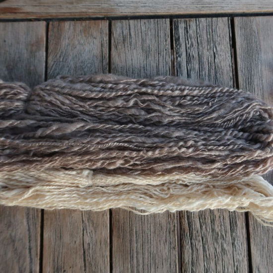 Bild von Spinnen - Seide und Edelfasern