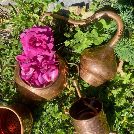 Bild von Destillieren von Pflanzenwasser