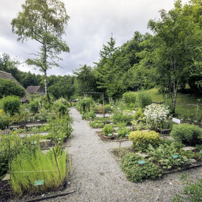 Bild von Salben herstellen - Grundkurs