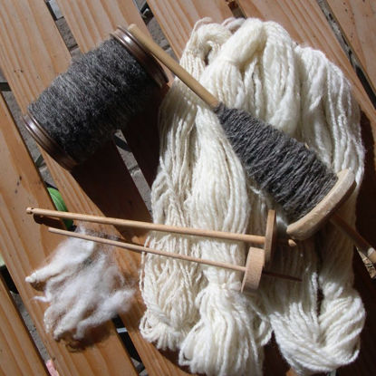 Image de Spinnen - Grund- und Aufbaukurs