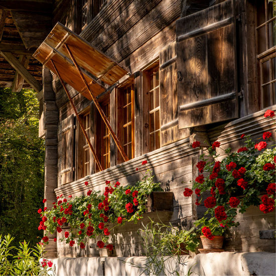 Bild von Online-Gutschein CHF 40.00