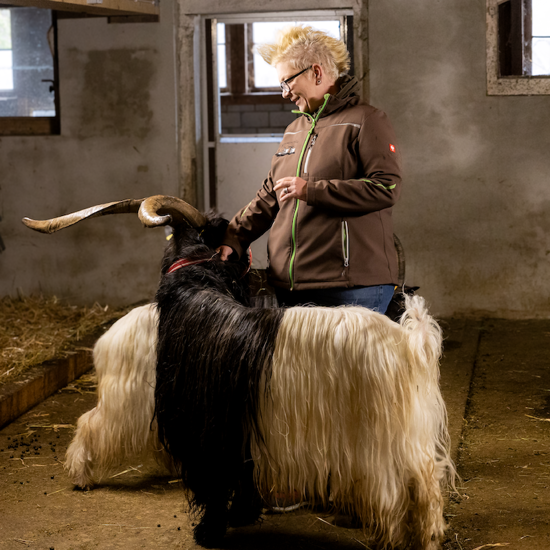 Bild von Führung Frauen in der Landwirtschaft (Individualgäste)