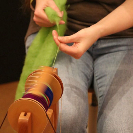 Image sur Spinnen - Schnupperkurs