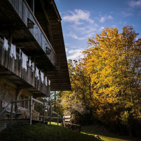Picture of Führung Architektur pauschal