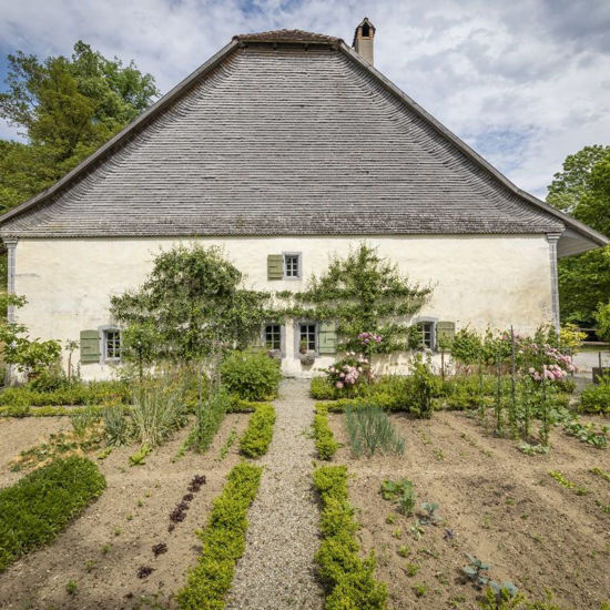 Bild von Veredeln von Obstbäumen