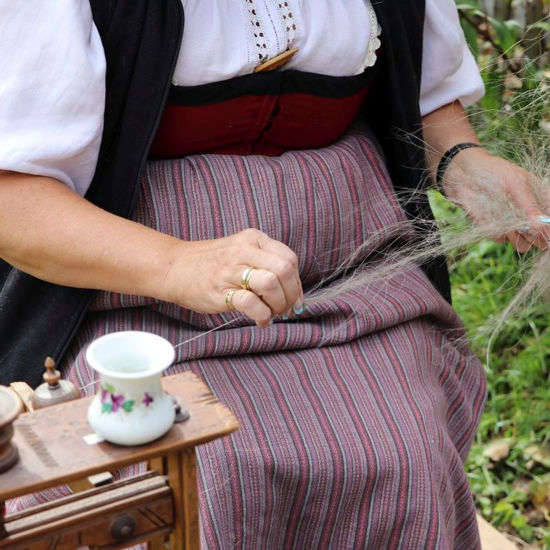 Image sur Spinnen - Flachs