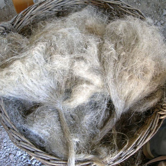 Image sur Spinnen - Flachs