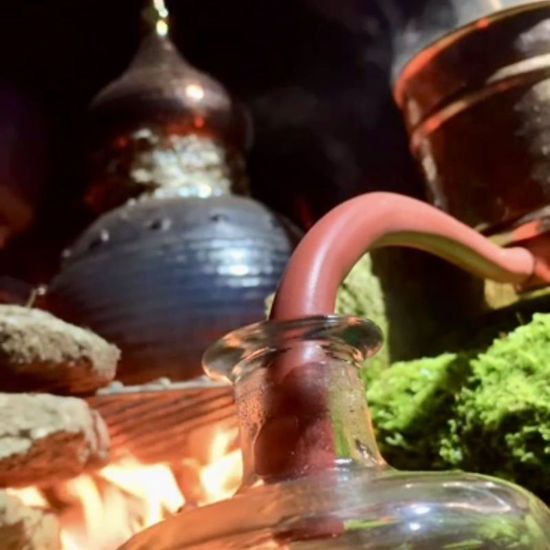 Bild von Destillieren von Pflanzenwasser