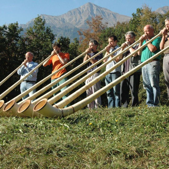 Immagine di Instrumentenbauen - Alphorn