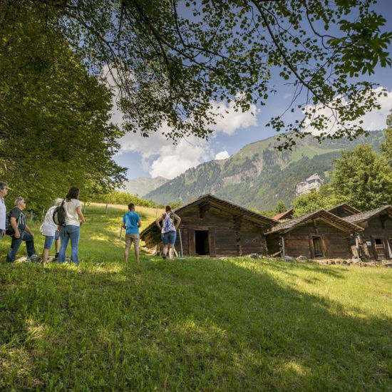 Picture of Führung Pauschal