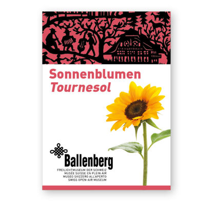 Bild von Sonnenblumen (Samen)