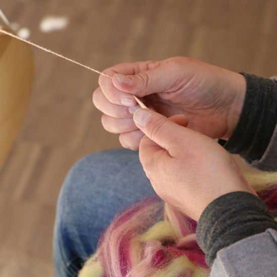 Image sur Spinnen - Schnupperkurs