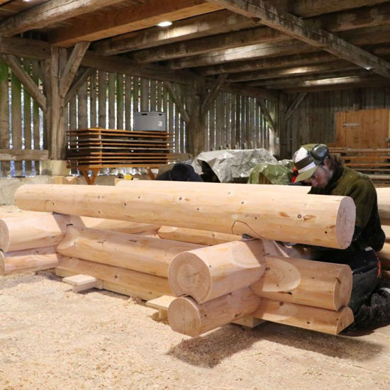 Immagine di Blockhausbauen