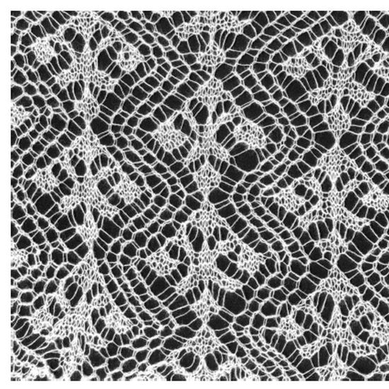 Bild von Stricken - Shetland Lace Technik