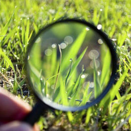 Bild für Kategorie Suche