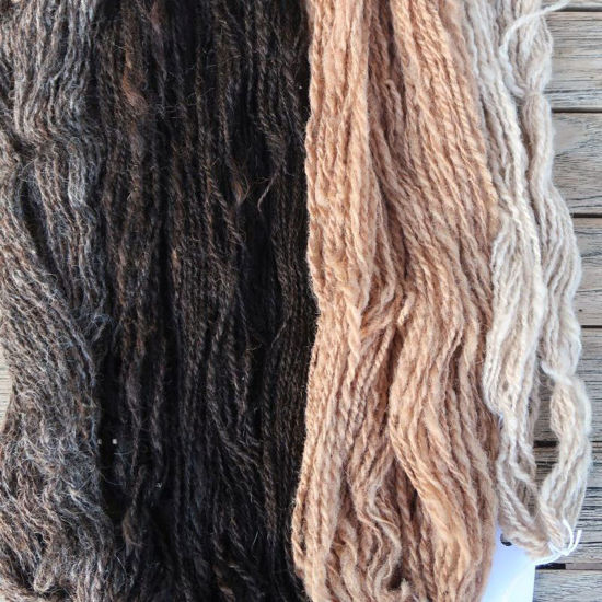 Bild von Spinnen - Seide und Edelfasern