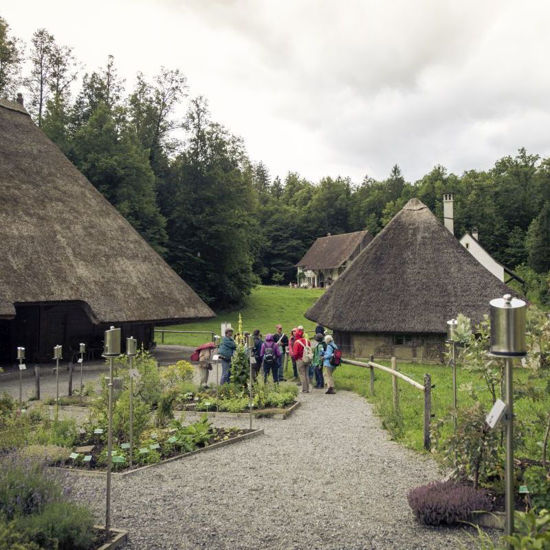 Picture of Führung Kräutergarten pauschal