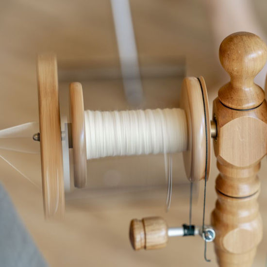 Image sur Spinnen - Grund- und Aufbaukurs