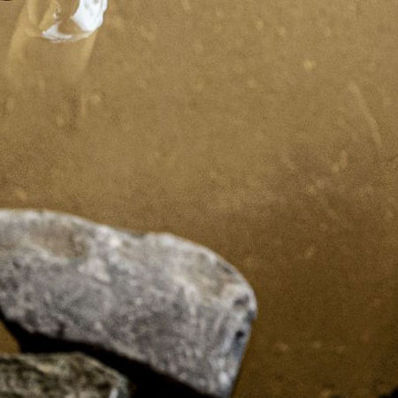 Picture for category Februar