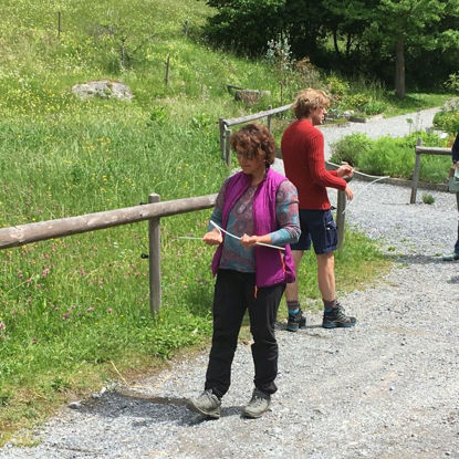 Picture of Pendeln und Ruten - Gehen - Grundkurs